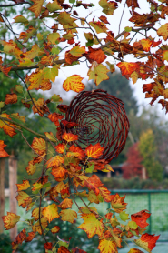 Gartenpflege, Herbst – Lauterwasser GmbH Gartenbau und Landschaftsbau